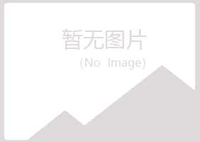 阳江江城夏日服务有限公司